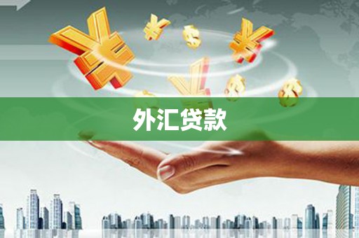 阿图什外汇贷款