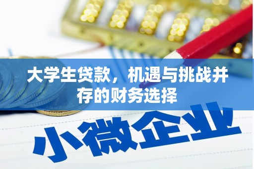 阿图什大学生贷款，机遇与挑战并存的财务选择