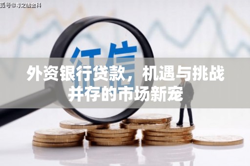 阿图什外资银行贷款，机遇与挑战并存的市场新宠