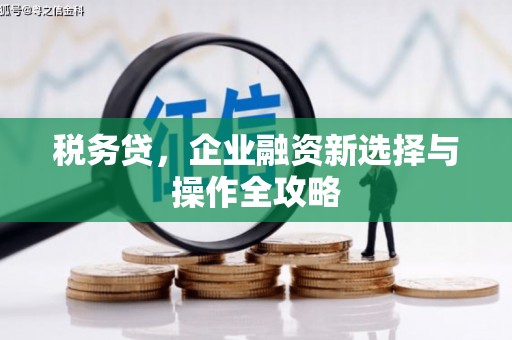 阿图什税务贷，企业融资新选择与操作全攻略