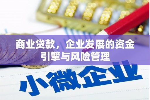 阿图什商业贷款，企业发展的资金引擎与风险管理