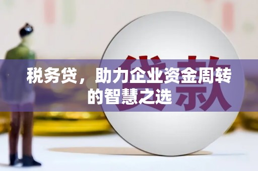 阿图什税务贷，助力企业资金周转的智慧之选