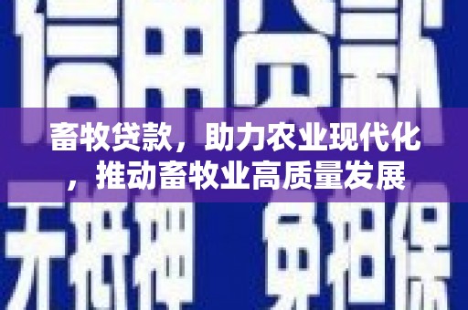 阿图什畜牧贷款，助力农业现代化，推动畜牧业高质量发展