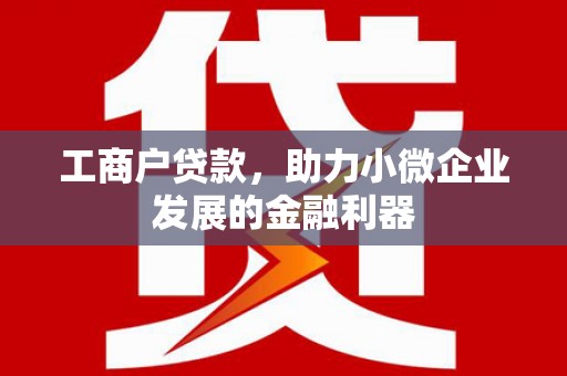 阿图什工商户贷款，助力小微企业发展的金融利器