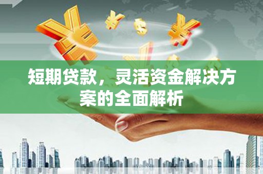阿图什短期贷款，灵活资金解决方案的全面解析