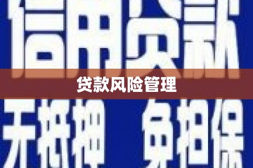 阿图什贷款风险管理