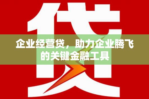阿图什企业经营贷，助力企业腾飞的关键金融工具