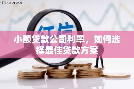 阿图什小额贷款公司利率，如何选择最佳贷款方案