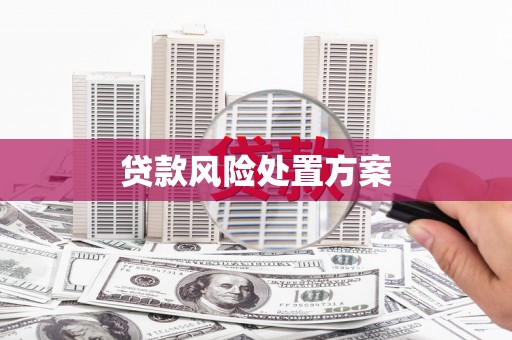 阿图什贷款风险处置方案