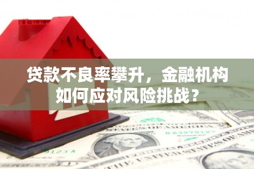 阿图什贷款不良率攀升，金融机构如何应对风险挑战？