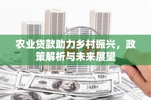 阿图什农业贷款助力乡村振兴，政策解析与未来展望