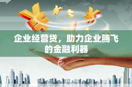 阿图什企业经营贷，助力企业腾飞的金融利器