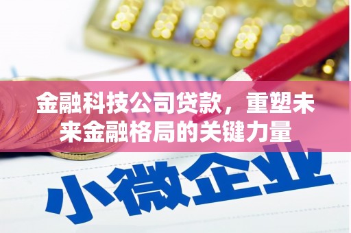 阿图什金融科技公司贷款，重塑未来金融格局的关键力量