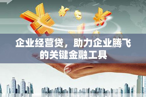 阿图什企业经营贷，助力企业腾飞的关键金融工具