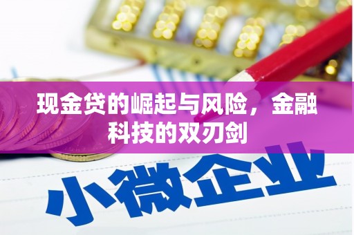 阿图什现金贷的崛起与风险，金融科技的双刃剑