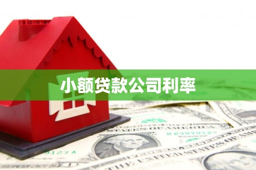 阿图什小额贷款公司利率