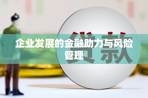 阿图什企业发展的金融助力与风险管理
