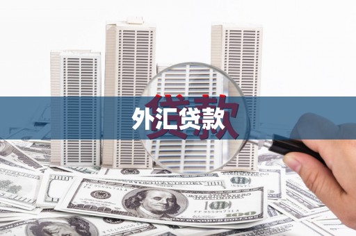 阿图什外汇贷款