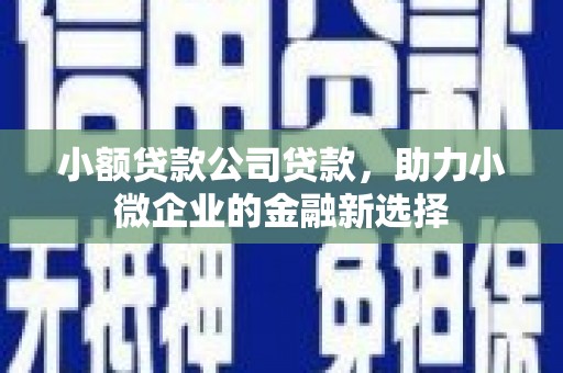 阿图什小额贷款公司贷款，助力小微企业的金融新选择