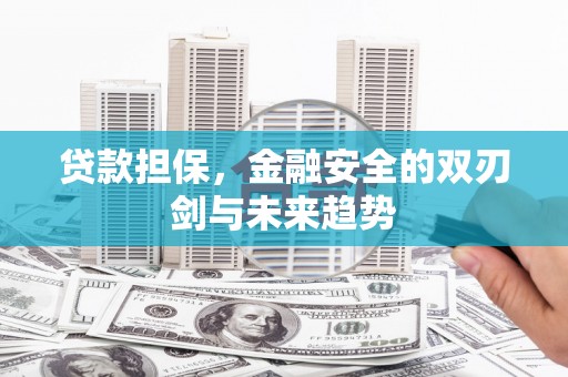 阿图什贷款担保，金融安全的双刃剑与未来趋势