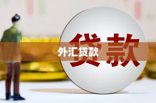 阿图什外汇贷款