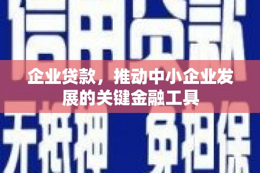 阿图什企业贷款，推动中小企业发展的关键金融工具