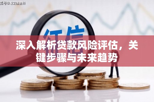 阿图什深入解析贷款风险评估，关键步骤与未来趋势