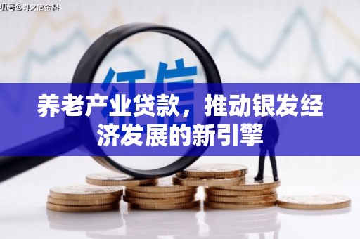 阿图什养老产业贷款，推动银发经济发展的新引擎