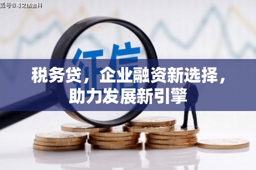 阿图什税务贷，企业融资新选择，助力发展新引擎