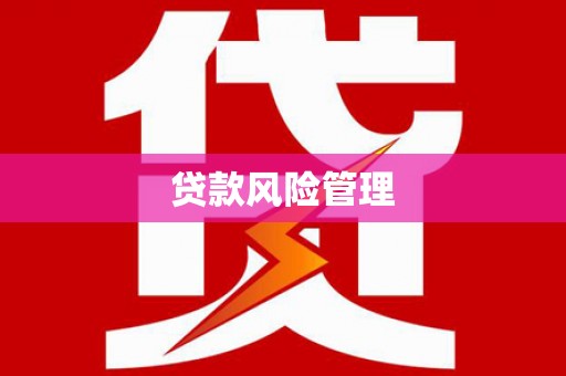 阿图什贷款风险管理