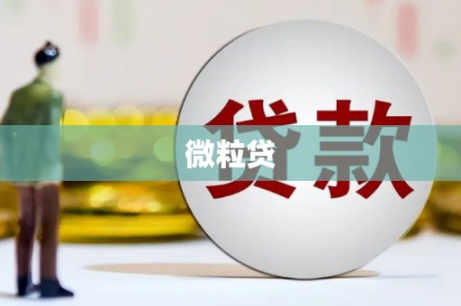 阿图什微粒贷