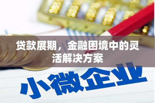 阿图什贷款展期，金融困境中的灵活解决方案