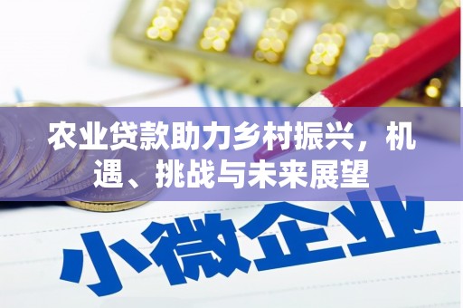 阿图什农业贷款助力乡村振兴，机遇、挑战与未来展望
