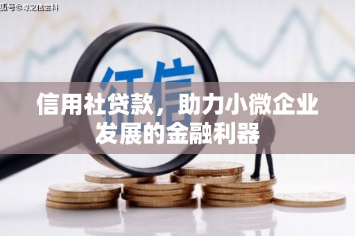 阿图什信用社贷款，助力小微企业发展的金融利器