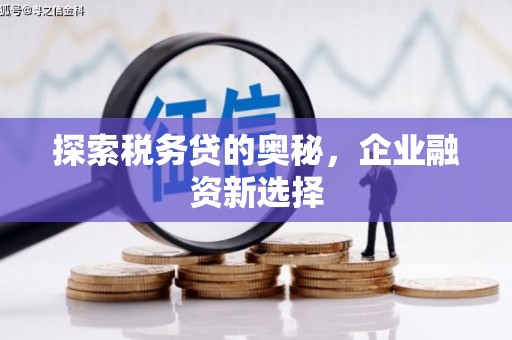 阿图什探索税务贷的奥秘，企业融资新选择