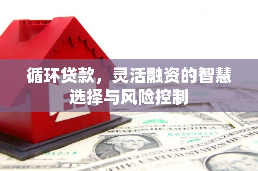 阿图什循环贷款，灵活融资的智慧选择与风险控制