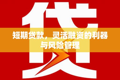 阿图什短期贷款，灵活融资的利器与风险管理