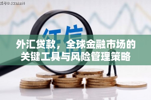 阿图什外汇贷款，全球金融市场的关键工具与风险管理策略