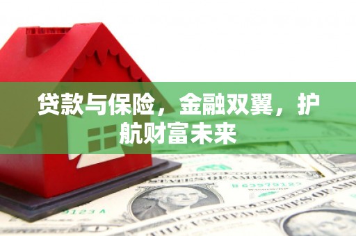 阿图什贷款与保险，金融双翼，护航财富未来
