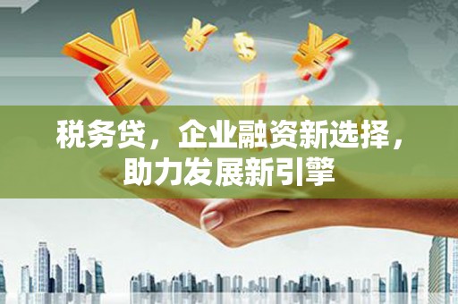阿图什税务贷，企业融资新选择，助力发展新引擎