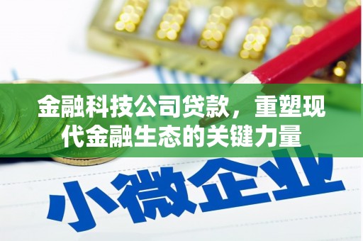 阿图什金融科技公司贷款，重塑现代金融生态的关键力量