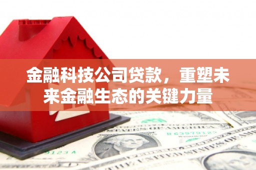 阿图什金融科技公司贷款，重塑未来金融生态的关键力量
