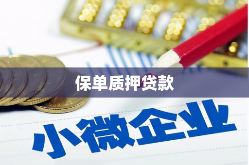 阿图什保单质押贷款
