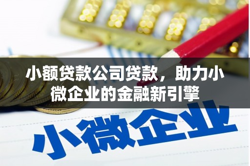 阿图什小额贷款公司贷款，助力小微企业的金融新引擎