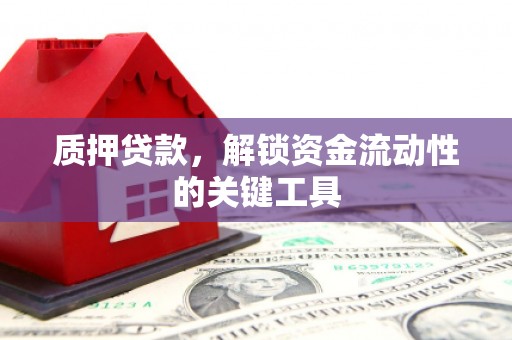 阿图什质押贷款，解锁资金流动性的关键工具