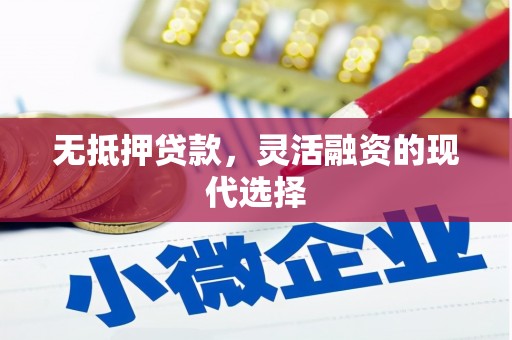 阿图什无抵押贷款，灵活融资的现代选择