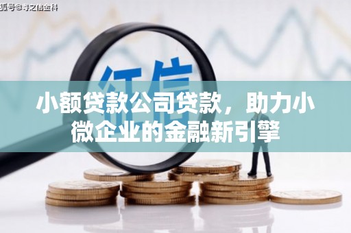 阿图什小额贷款公司贷款，助力小微企业的金融新引擎