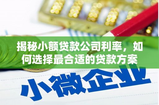 阿图什揭秘小额贷款公司利率，如何选择最合适的贷款方案