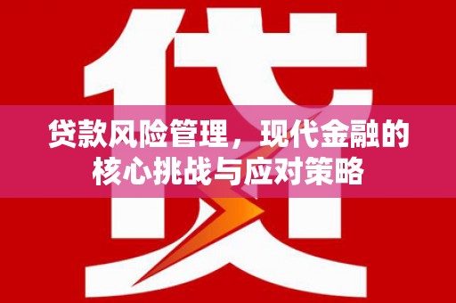 阿图什贷款风险管理，现代金融的核心挑战与应对策略