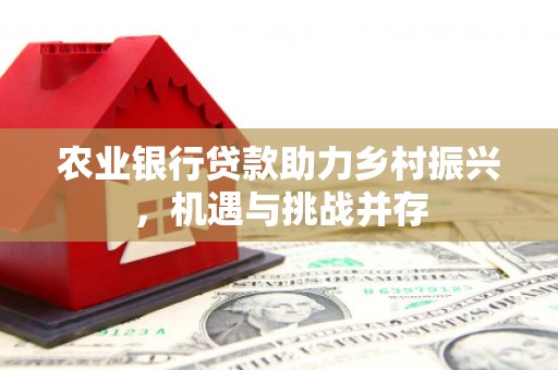 阿图什农业银行贷款助力乡村振兴，机遇与挑战并存